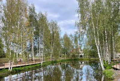 осенний пруд с отражением берёз